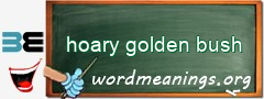 WordMeaning blackboard for hoary golden bush